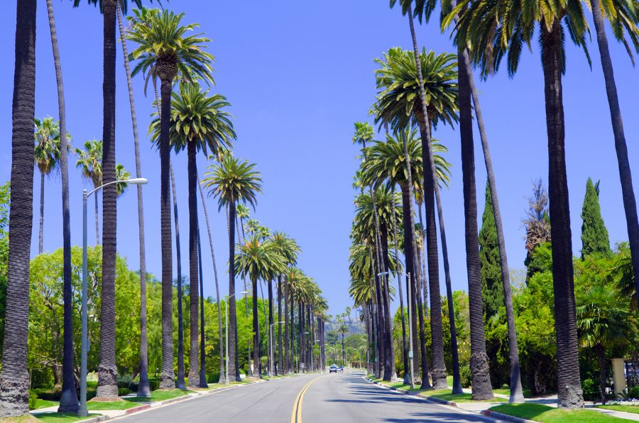 Beverly Hills